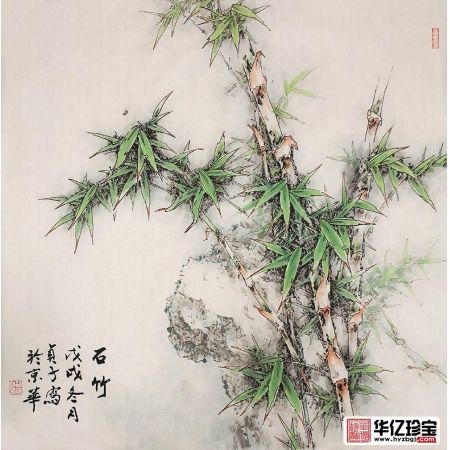 赵俊贞新品国画竹子图《石竹》
