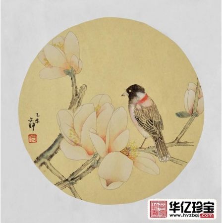 何文铮小尺寸花鸟画作品玉兰图《冰清玉洁》