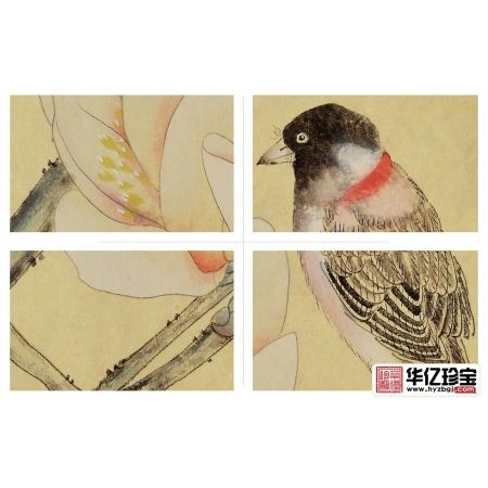 何文铮小尺寸花鸟画作品玉兰图《冰清玉洁》