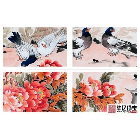 “牡丹仙子”萧红新品牡丹鸽子图《富贵吉祥》