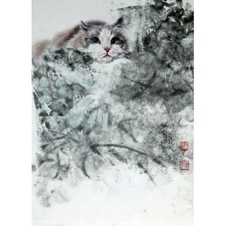  吴冬梅《猫》作品