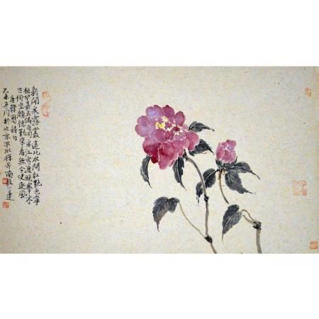 高强《木芙蓉》2平尺