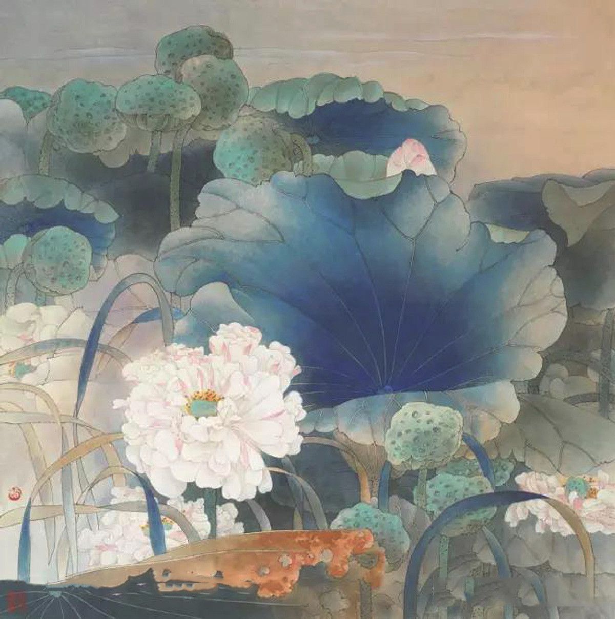 贾广健《白藕花》66×66cm