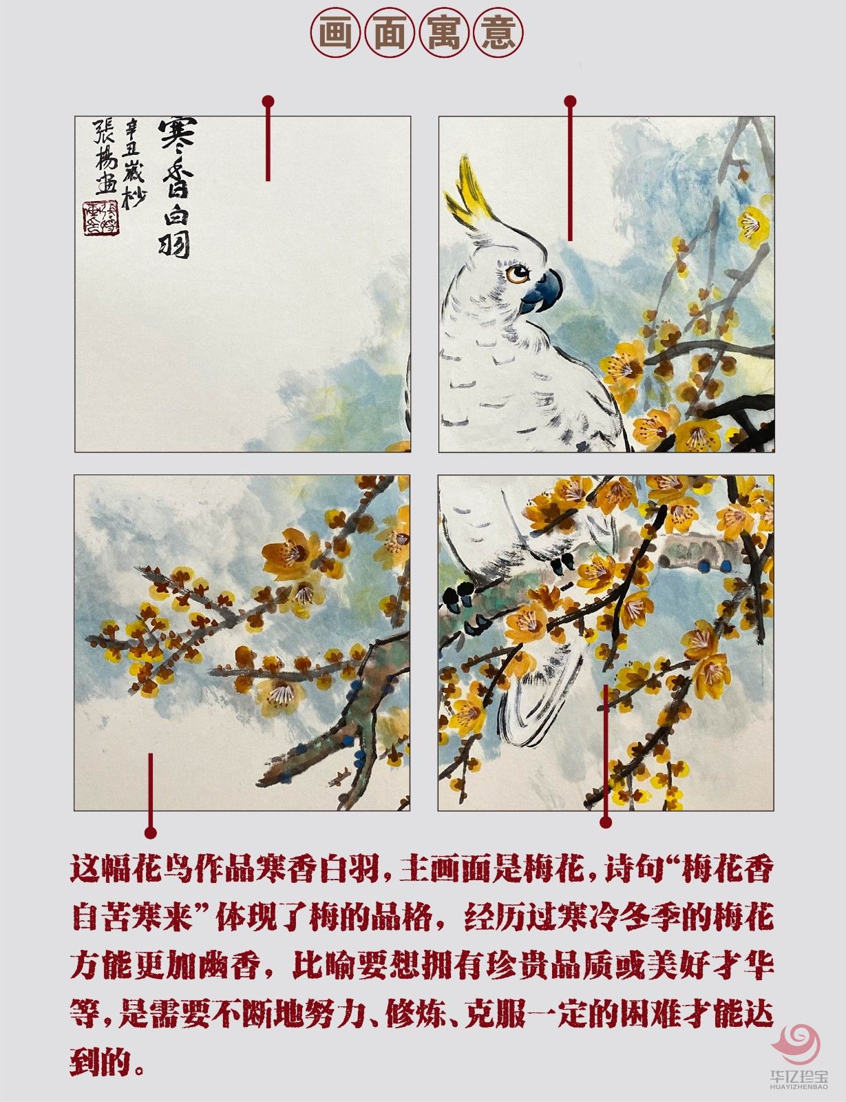 张扬4平尺花鸟作品《寒香白羽》