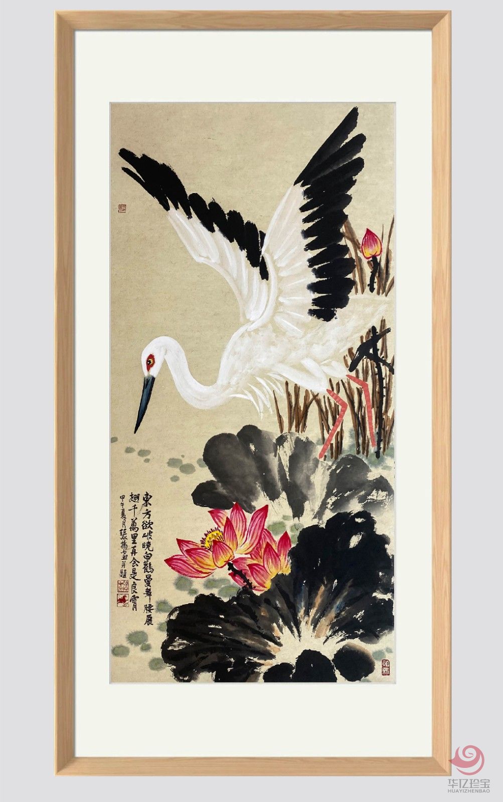 张扬8平尺花鸟作品《白鹤曼舞》