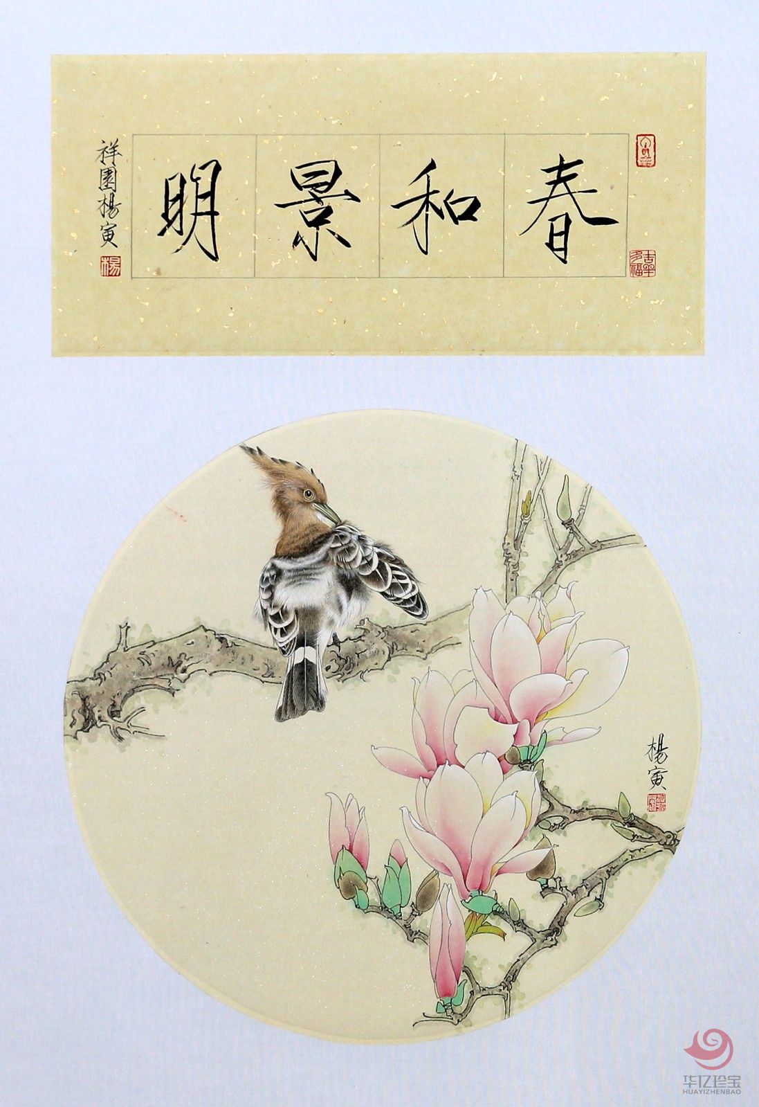 杨寅工笔花鸟作品《春和景明》