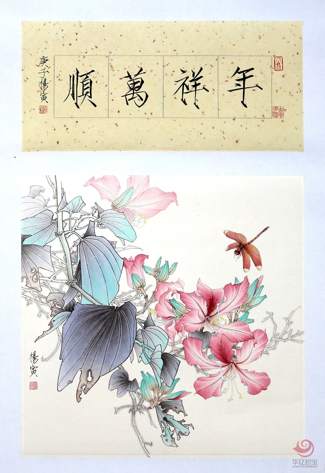 杨寅工笔花鸟作品《年祥万顺》